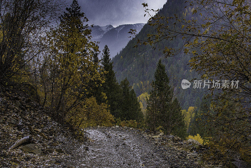 白雪覆盖的白杨地区，4 × 4路穿过白杨树到老磨坊